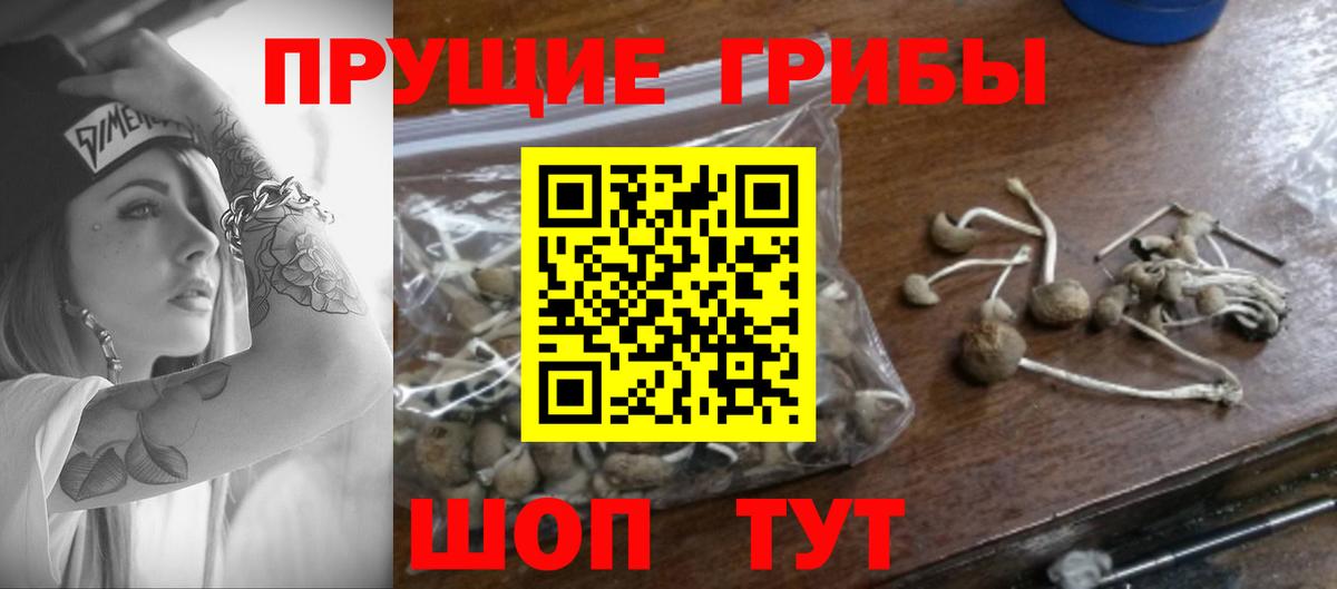 Псилоцибиновые грибы ЛСД  Вход с VPN  Майкоп 